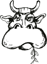 Logo-Tijuana-mucca